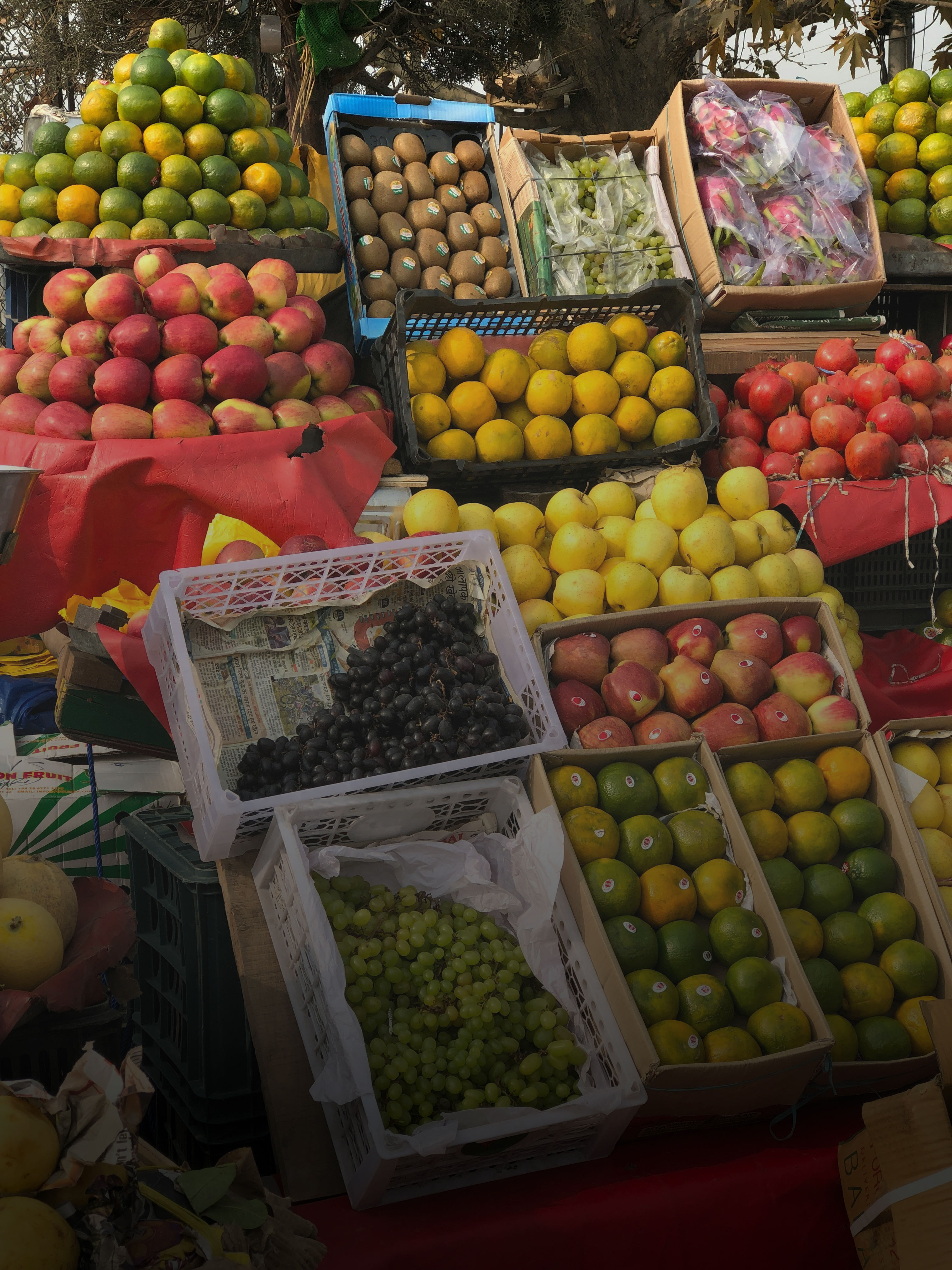 Freshy Fruits — Real fruit seller at work